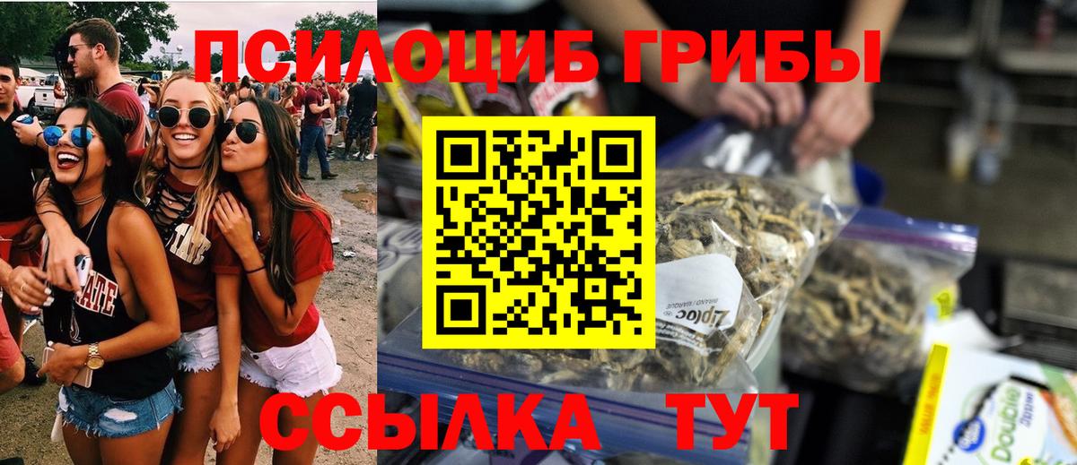 Галлюциногенные грибы Psilocybine cubensis  Вход с VPN  Белово  Псилоцибиновые грибы Cubensis 
